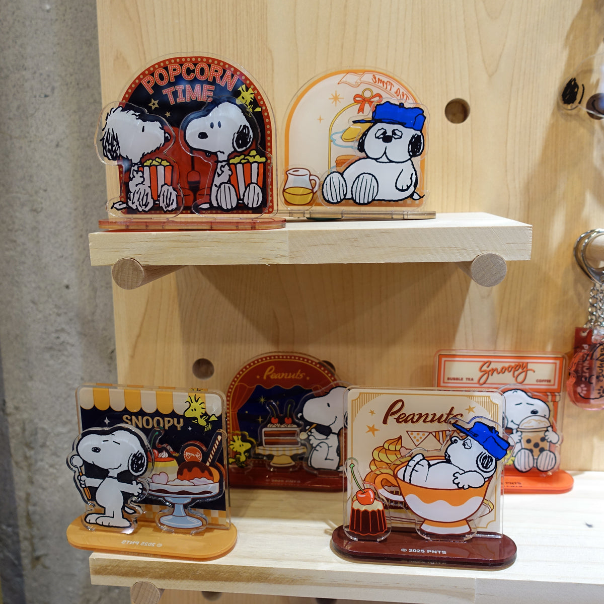 DSC04955_1200x1200.jpg?v=