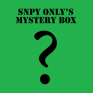 June Peanuts Snoopy Mystery Box