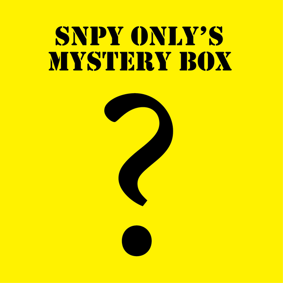 November Peanuts Snoopy Mystery Box No. 2