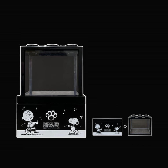 *Pre-Order* Peanuts Snoopy Display Case