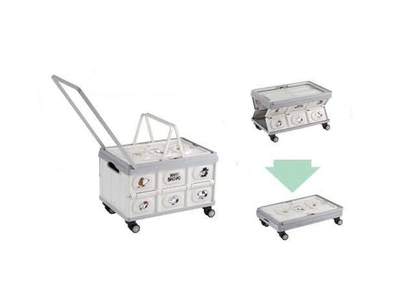 *Pre-Order* Peanuts Snoopy 