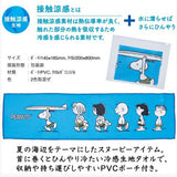 Peanuts Snoopy “Beach Time” Cooling Sports Towel Set
