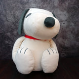 Peanuts Snoopy Medicine Ball