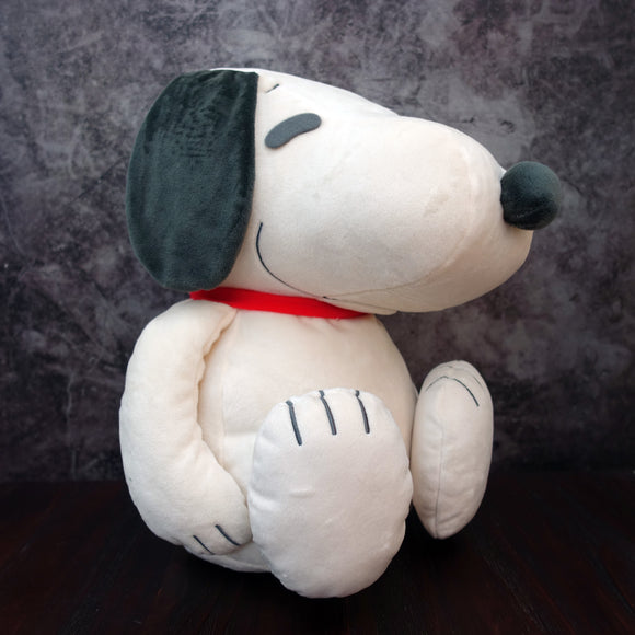 Peanuts Snoopy Medicine Ball