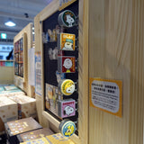 Peanuts Snoopy "Mini Sign" Light Up Magnet Set