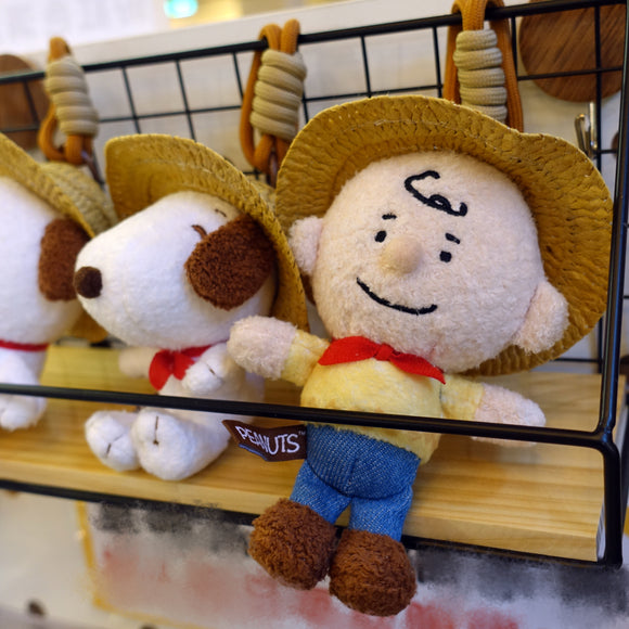 Peanuts Snoopy & Schroeder Wooden Music Box | SNPY ONLY