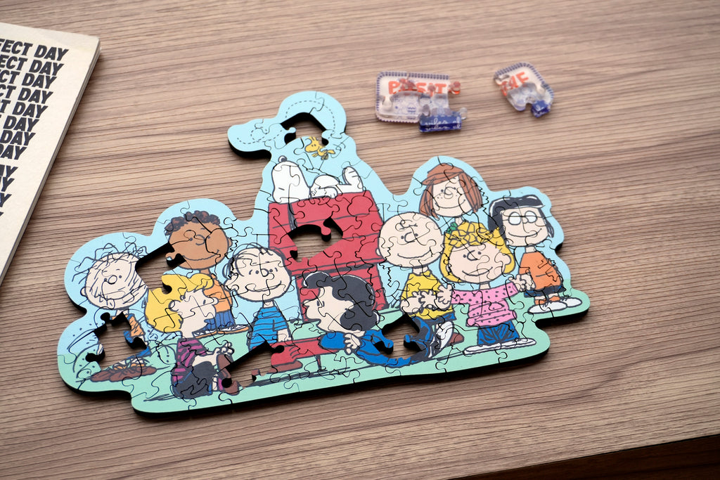Snoopy with Friends Puzzle & Frame Set | SNPY ONLY