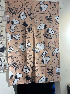 Peanuts Snoopy & Charlie Brown Door Curtain