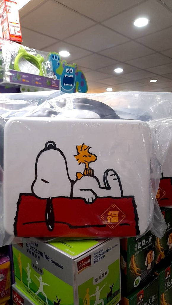 Peanuts Snoopy Travel Case Mystery Box