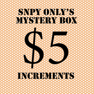 Peanuts Snoopy Mystery Box $5 Increments